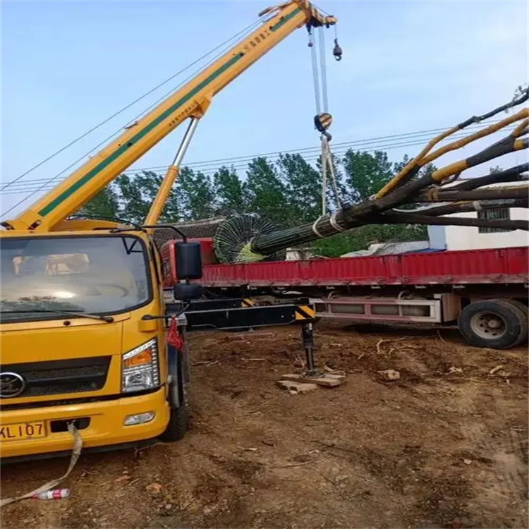 孝昌100吨吊车租赁费用怎么算？3大关键因素+省钱技巧全解析